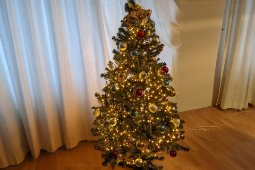 クリスマスツリー